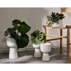 Iittala kastelupullo 2set