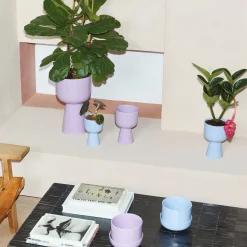 Kukkaruukku vaalea lila jalallinen L