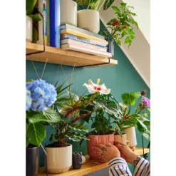 Ruukku 120x140mm mattamusta